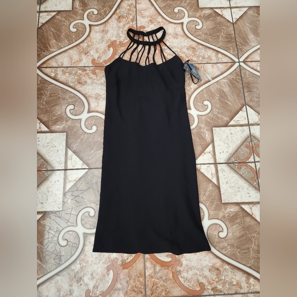 Evan-Picone Dress